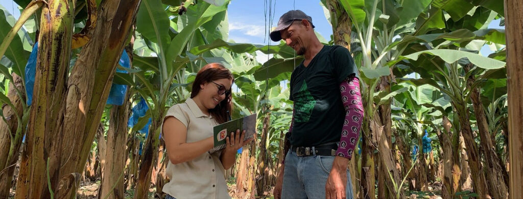 Dole employees on banana farm