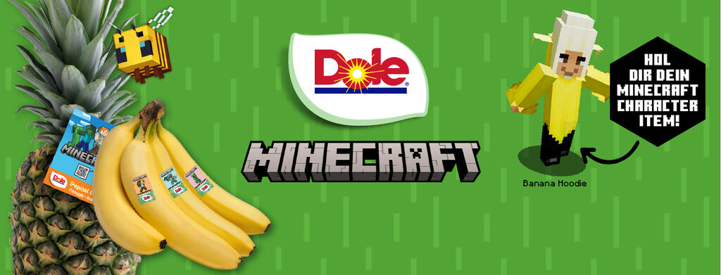 Minecraft Kampagnen-Poster