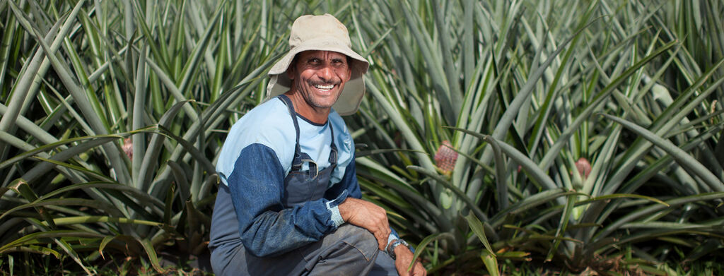 Dole Sustainability Man Pineapple Farmer