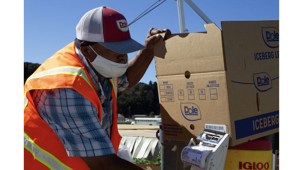 A man loading dole boxes