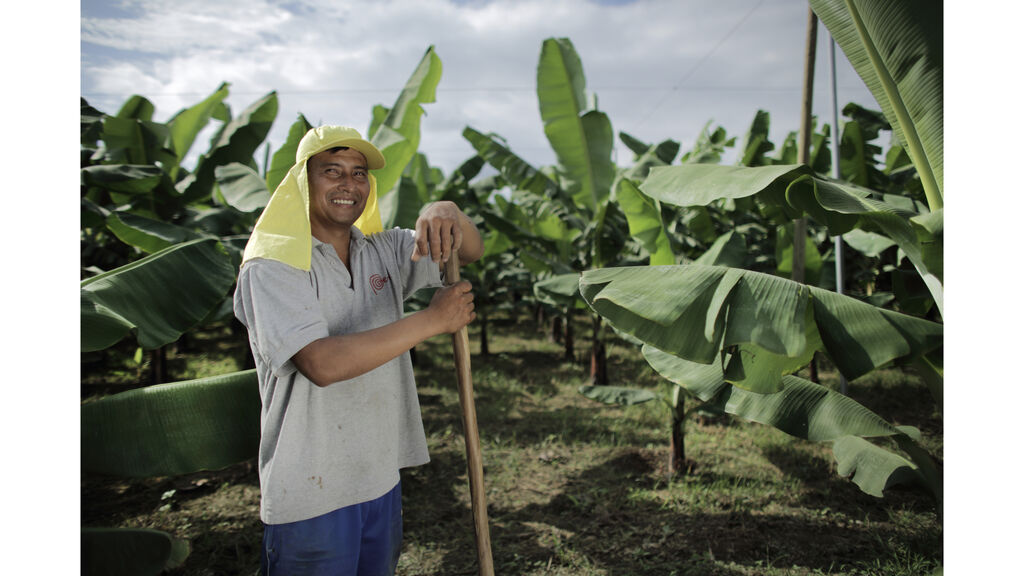 Farmer standing in a farm