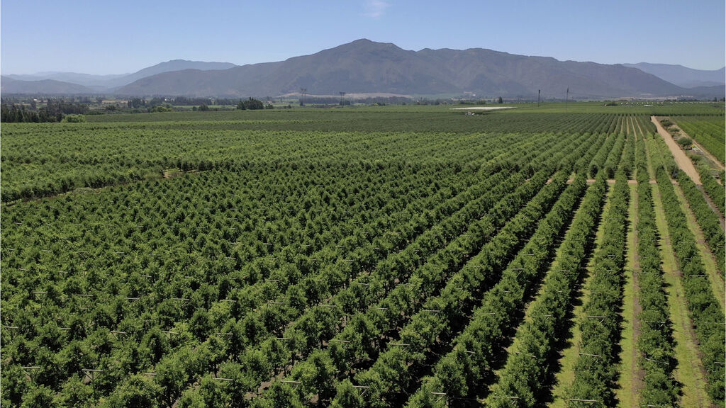 farm image with mountains in the backdrop