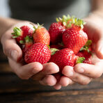 Closeup of hands holding strawberries