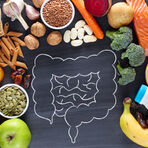 Gut drawn on chalkboard