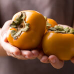 Persimmons and Weight Loss