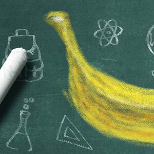 1A_back-to-school-bananas_1338x460