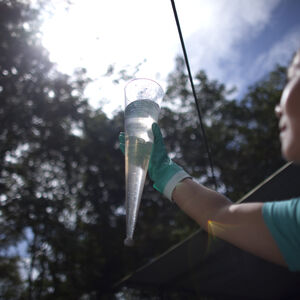 Dole worker looking at a tube of water