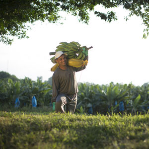 Person walking with banana