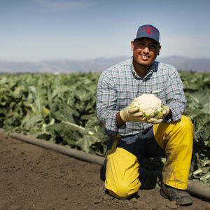 A man in a farm holding a cauliflower in his hand 