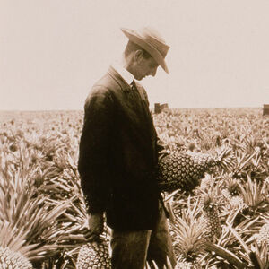 James Dole begins growing pineapples in Wahiawa, Oahu and establishes the Hawaiian Pineapple Company