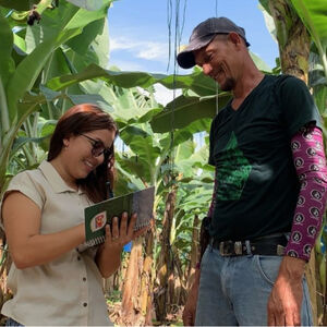 Dole employees on banana farm