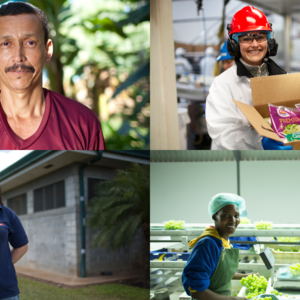 A collage of dole workers