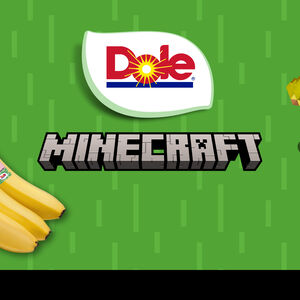Dole Minecraft-campagne