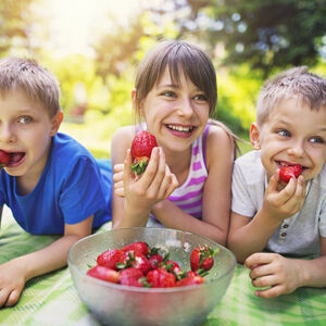 Sensational Strawberries