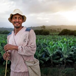 Dole Sustainability Bananito Farmer