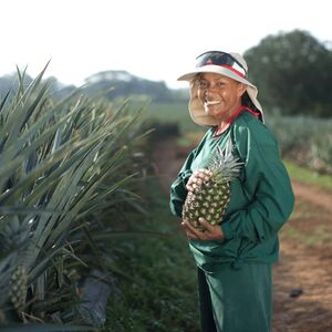 Dole Pineapple Farm Honduras