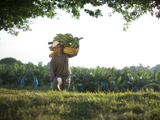 Person walking with banana