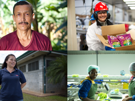 A collage of dole workers