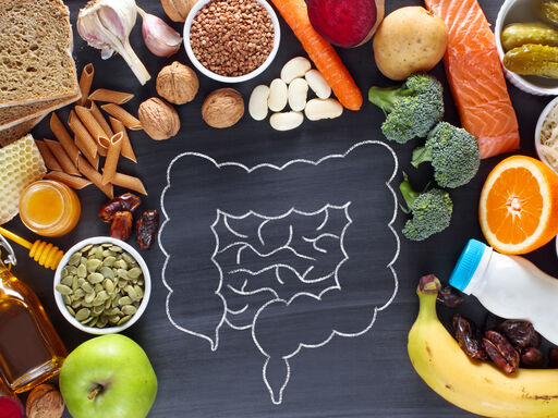 Gut drawn on chalkboard