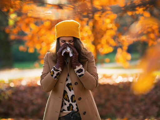 Sneezing Your Way Through Fall