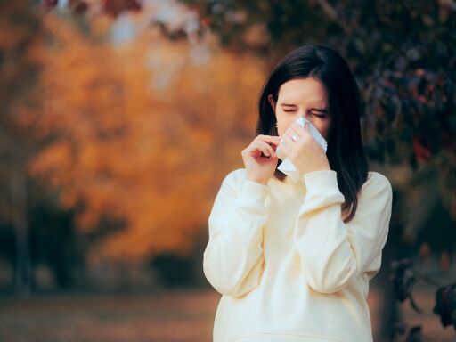 blog-article-allergy NL