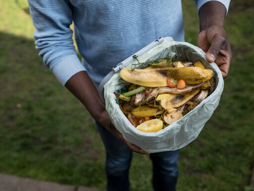 From Trash to Treasure