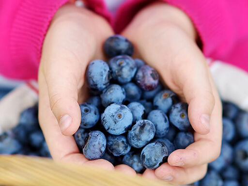 2A-DNN-Kiddies_get_a_Boost_with_Blueberries_too-1338x460