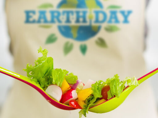 2B-Celebrate_Earth_Day-1338x460