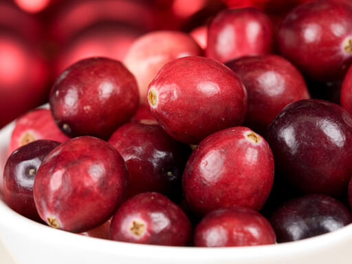 Featured_Article_2A-Incredible_Cranberry-1338x460