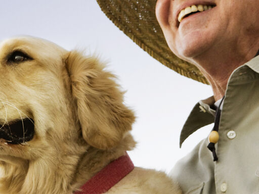 Get_Doggone_Healthy_1338x460