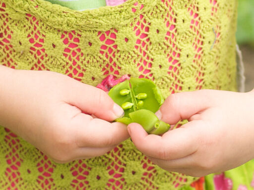 More_peas_please-1338x460