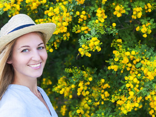 shutterstock_379818499