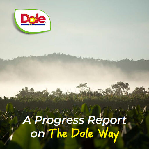 Dole Progress Report