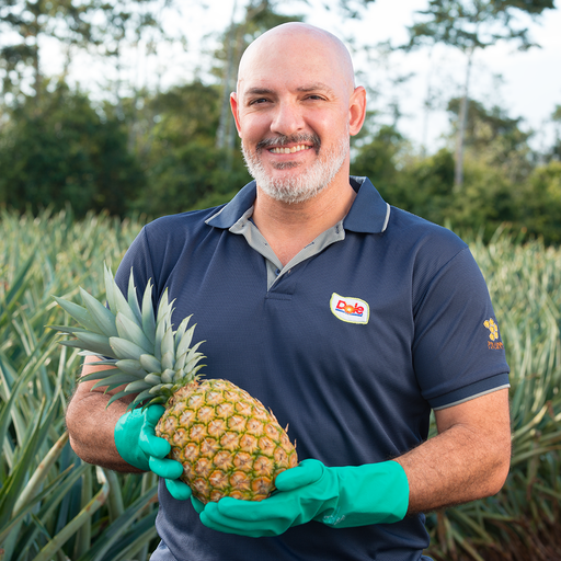 Worker holding a Dole's golden selection pineapple