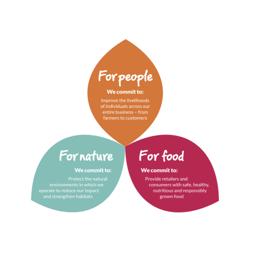 A graphic illustration talking out the dole commitment towards people, nature and food