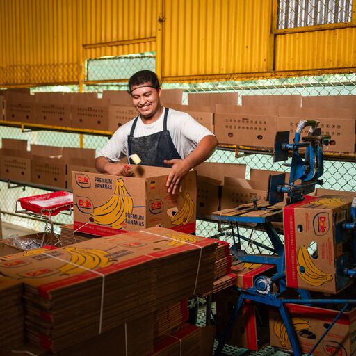 Dole farm employee packing boxes