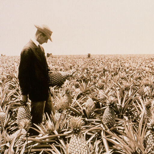 James Dole in the field