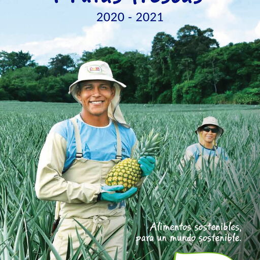 Two people in pineapple field