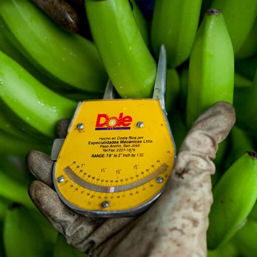 Dole Sustainability Quality Control