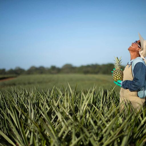 Dole Sustainability Woman Pineapple Farmer