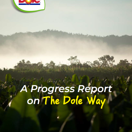 sustainability report