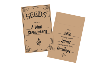 Vintage-style brown seed packet labeled “Albion Strawberry,” with planting details and a decorative design.